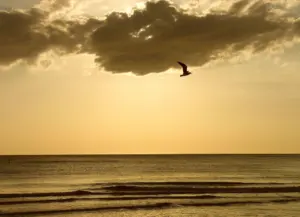 positive affirmations for recovery