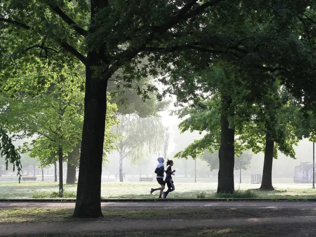 Start Running: An 8-Week Beginner’s Guide To Build Confidence And Endurance In 2026