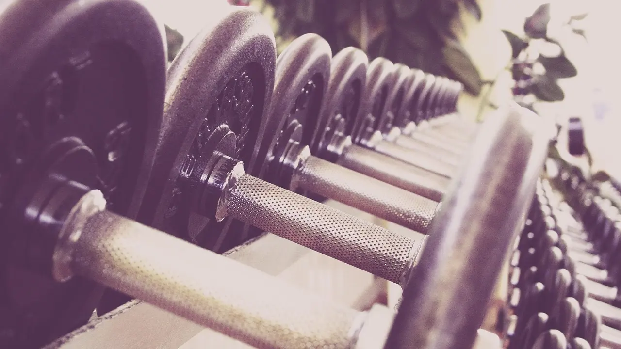Rack of dumbbells in a gym